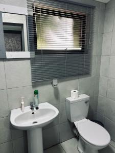 The Wool House & Pablos carolina