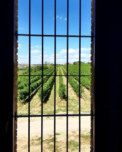 Agriturismo Il Divin Casale