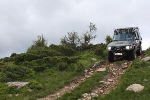 Hotel Forward Pool&Sauna