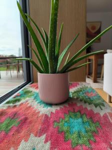 Maisons de vacances Villa Holidays Ocean : photos des chambres