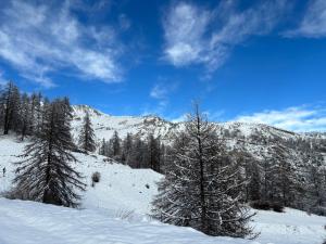 Appartements F2 avec tres belle vue montagne : photos des chambres