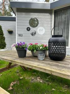 Spacious Two Bedroom Chalet