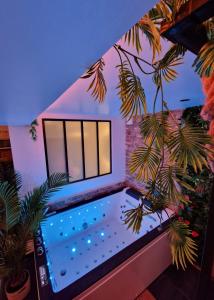 Jungle Love avec Balnéo à 10 min de Disneyland Paris