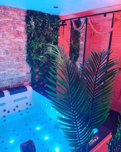 Appartements Jungle Love avec Balneo a 10 min de Disneyland Paris : photos des chambres