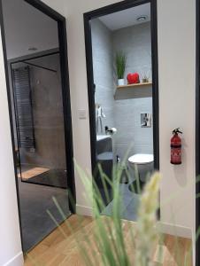 Villas Villa Valmy - Hypercentre - Gare SNCF : photos des chambres