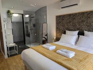 Villas Villa Valmy - Hypercentre - Gare SNCF : photos des chambres