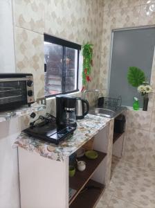 Miraflores 1- The greenhouse