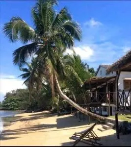 Tongasoabeach palmier - Ikoa