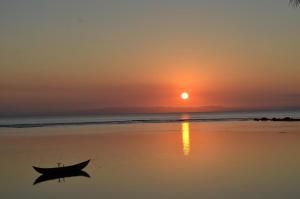 Tongasoabeach palmier