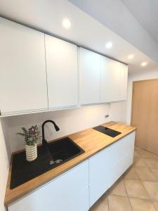 Sunny Terrace Zavala Hvar studio with terrace