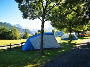 Campings Camping Onlycamp du Cret : photos des chambres