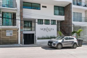 Suite Jungle Studio with Views Walk Everywhere