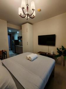 Lourdes Bedsit Horizon 101