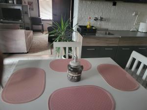 Apartman Djokic 1