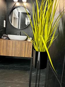 Apartamenty Kielce- CAPPUCCINO APARTAMENT, faktura, parking, centrum