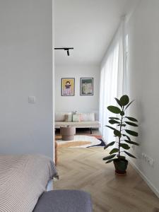 B14 studio apartment