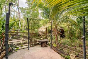 Cabaña Zapote en Rancho Los Jaguares Jungle Retreat Tulum