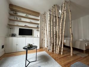 La Suite Carmen - Hypercentre de Reims