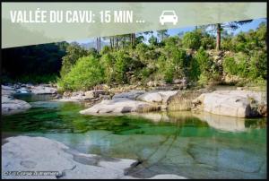 Appartements T2 Cyprien, Climatise, piscines, resto, 5mn plages : photos des chambres