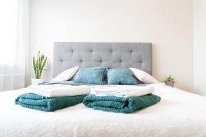 Tammsaare Residence- 4 rooms, free parking