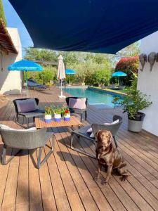 Villas Villa ATHENA : photos des chambres