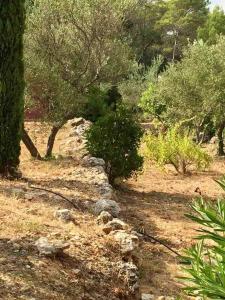 Villas Villa ATHENA : photos des chambres