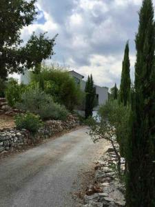 Villas Villa ATHENA : photos des chambres