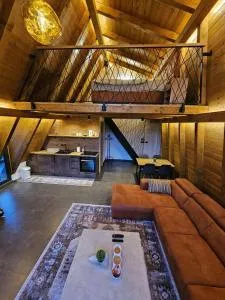 Luxury Villa Mašić - 布戈伊诺