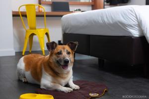 B&B HOTEL São Paulo Luz - Centro