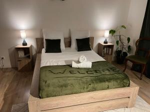 Appartements Triplex a La Roche de Glun : photos des chambres