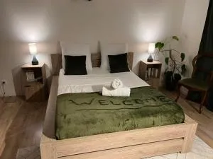 Triplex à La Roche de Glun - 伊泽尔河畔新堡