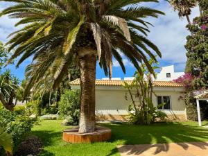 Villa Casa Lilo, en jardin grande,con una gran piscina, con pérgola y barbacoa