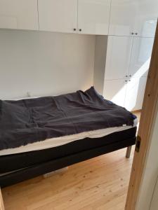 Cozy apartment near Copenhagen