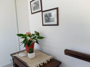 Standard Suite - Serenity at Rustic Dune 1