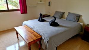 Casa surf Esperenza Dunas