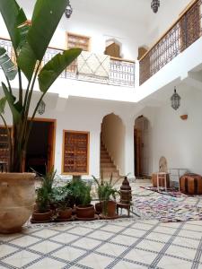 Quite riad