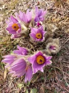 Apartamento playa Canteras y piscina - Guanarteme