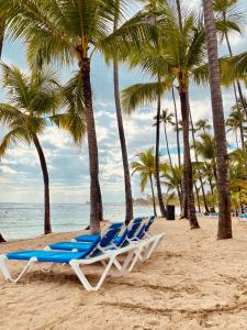 Luxury penthouse portobello