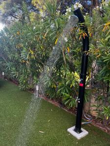 Apartment Dream in Sibenik with private garden