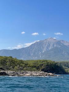 Amsterdam Otel Economic Room
