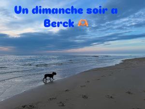 Maisons de vacances Au paradis bleu maison 6 couchages ok chiens jardin : photos des chambres