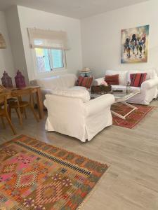 The mediterranean house