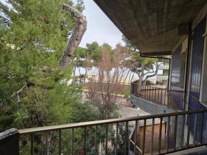 Palazzo Del Mare Int5 Silvi Vacanza