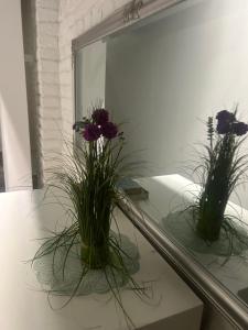 Wilcza double room small Apartment by best price City Center