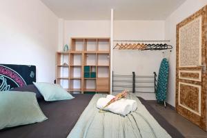 Appartements Appt T2 en rez-de-jardin, au calme, a 2mn tram ! : photos des chambres