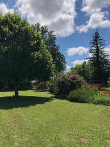 Maisons de vacances Les pouges : photos des chambres