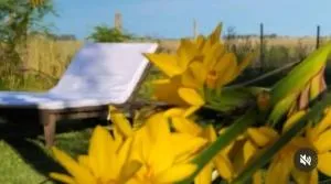 La Narcisa - Tejedor