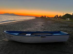 ioanikos sunshine