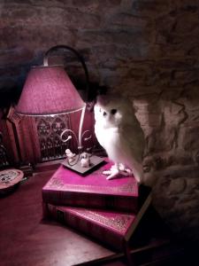 Appartements Le relais magique des sorciers et ses enigmes : photos des chambres