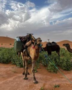 Desert Erg Chigaga Lodge